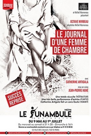 15239795975974_le-journal-d-une-femme-de-chambre-funambule_20850