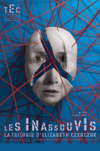 15387493116040_les-inassouvis_41889