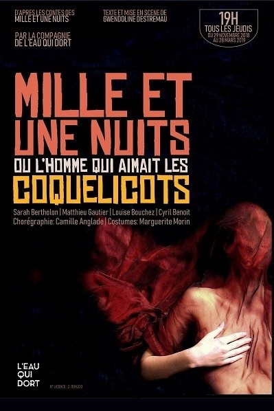15396832745521_mille-et-une-nuits-le-guichet-montparnasse_42057